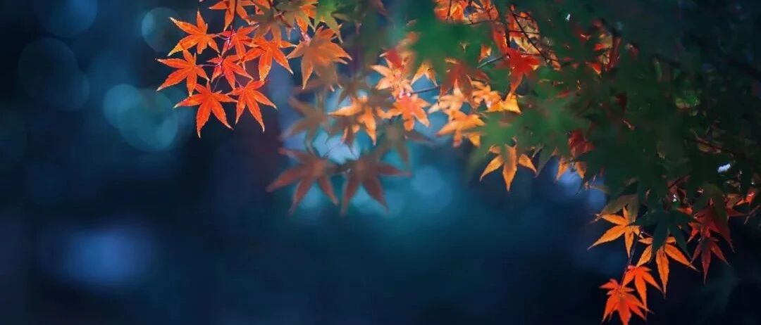 10 首写于秋夜的诗 | 一念秋风起，一念相思长