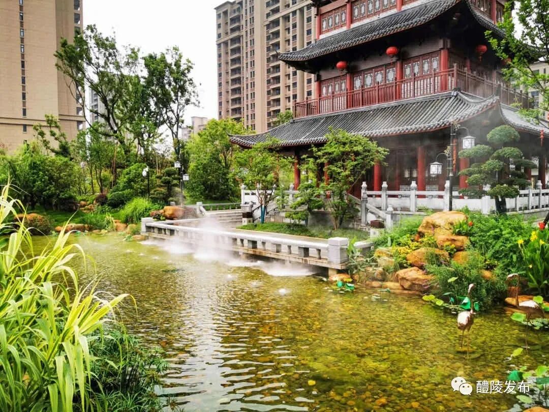 湖南师范大学附属醴陵金东陶子湖幼儿园签约