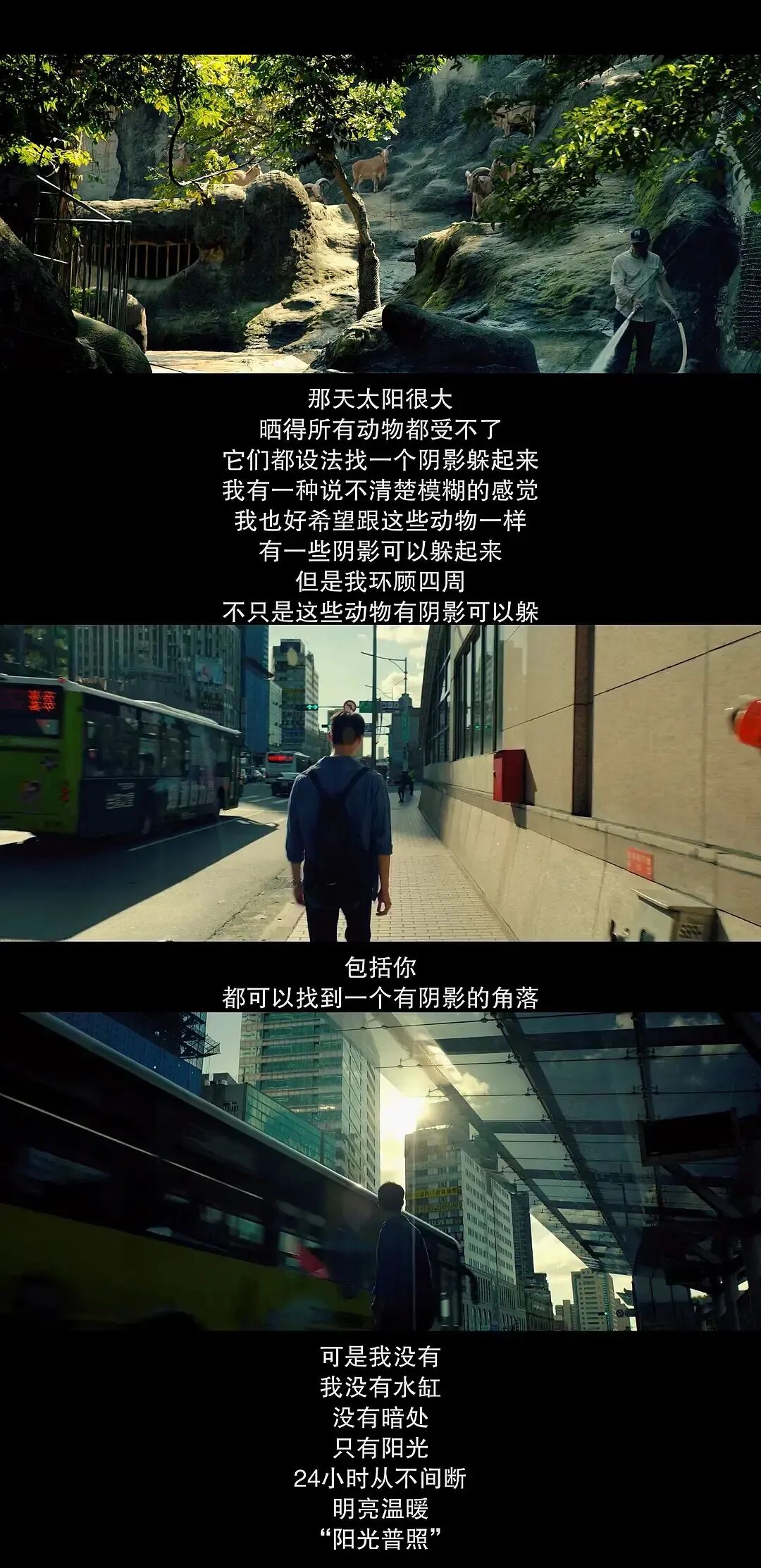 周六晚晓时光放映：钟孟宏《阳光普照》 | FUN青岛