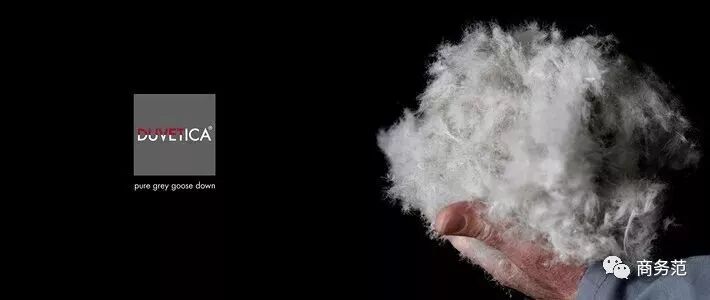 大鹅羽绒服_大鹅鹅笼图片_大鹅的鹅