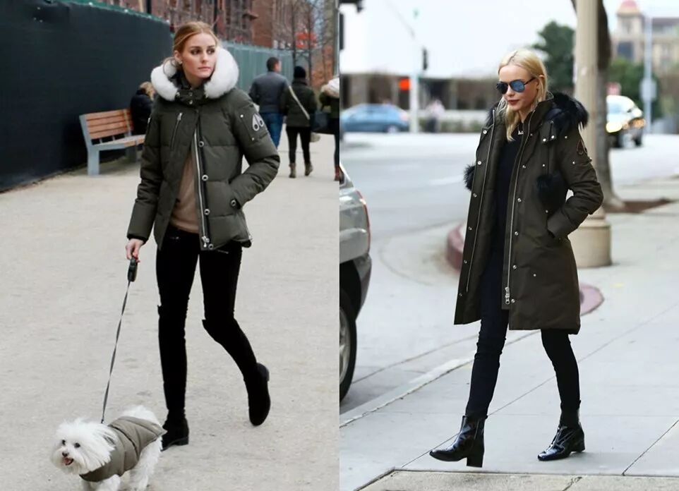 大鹅羽绒服_大鹅的鹅_大鹅鹅笼图片