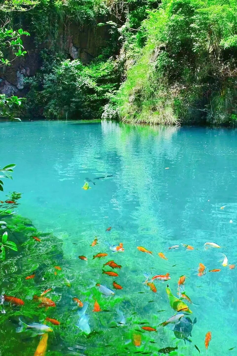 因为"玩水",杭州此地全网走红!这份夏日清单请收藏