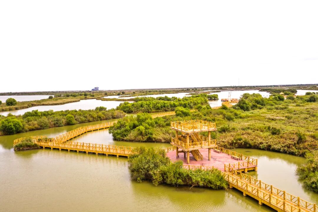 秋思黄河口丨在这深秋我要向黄河口表白