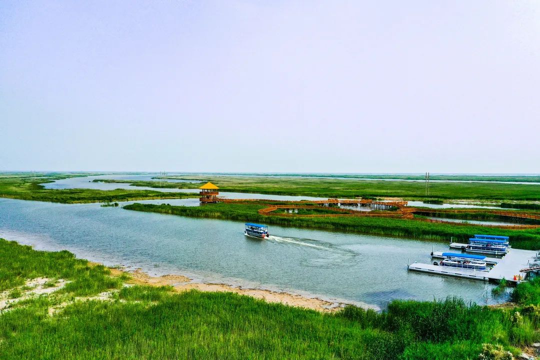 【東營黃河口生態旅遊區】黃河入海 暑假必來 - 好客山東網