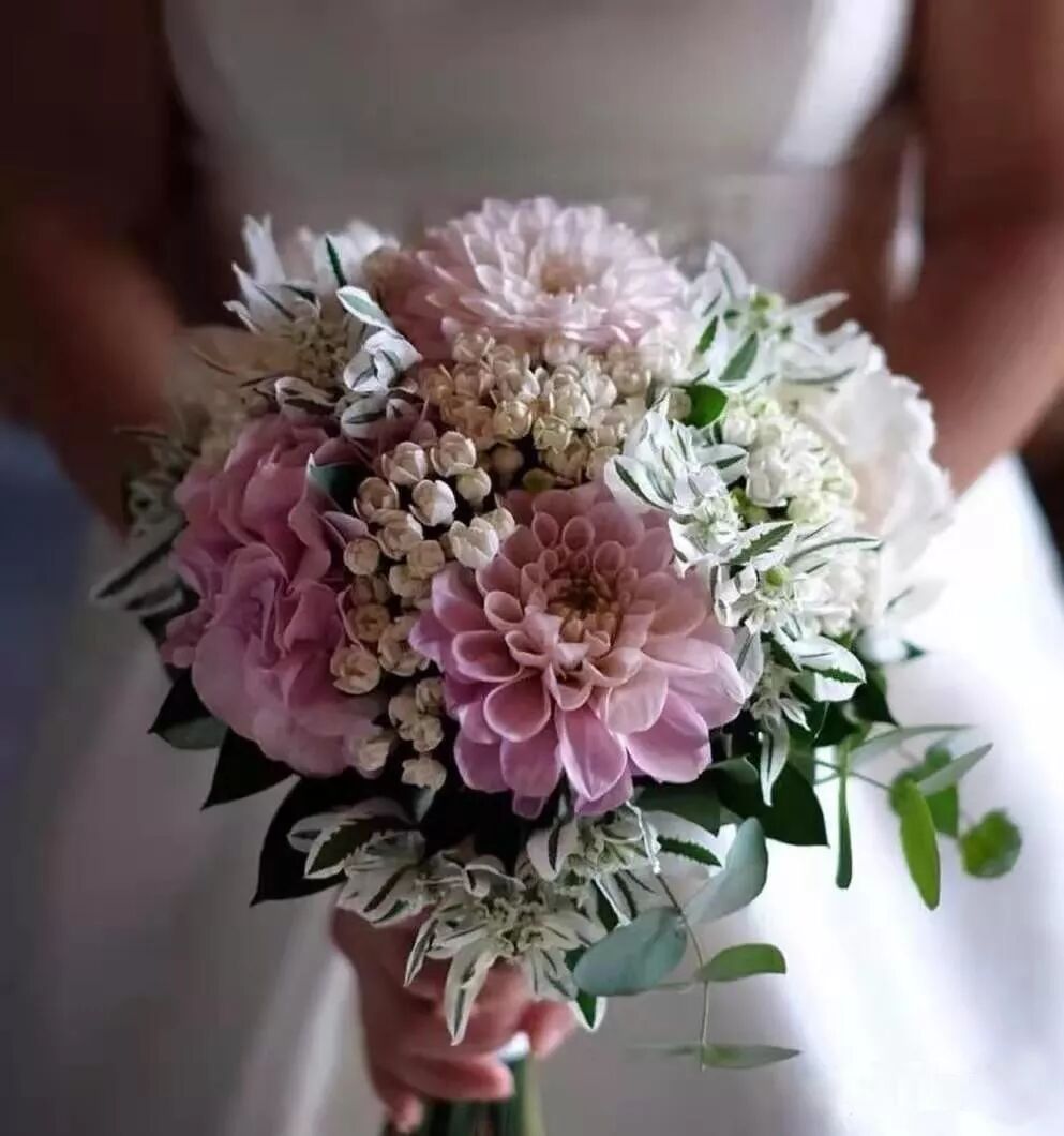 常用茜草科花材 一 寒丁子 我想当花艺师 微信公众号文章阅读 Wemp