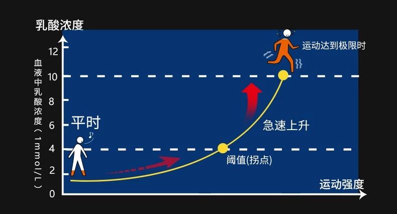 马拉松越野体能补给？肌鲣强可能是你最科学的选择！