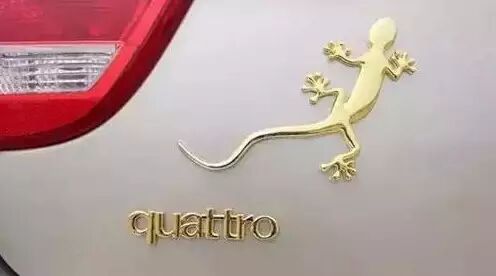 为什么很多汽车上面要贴一个"壁虎"的标志?