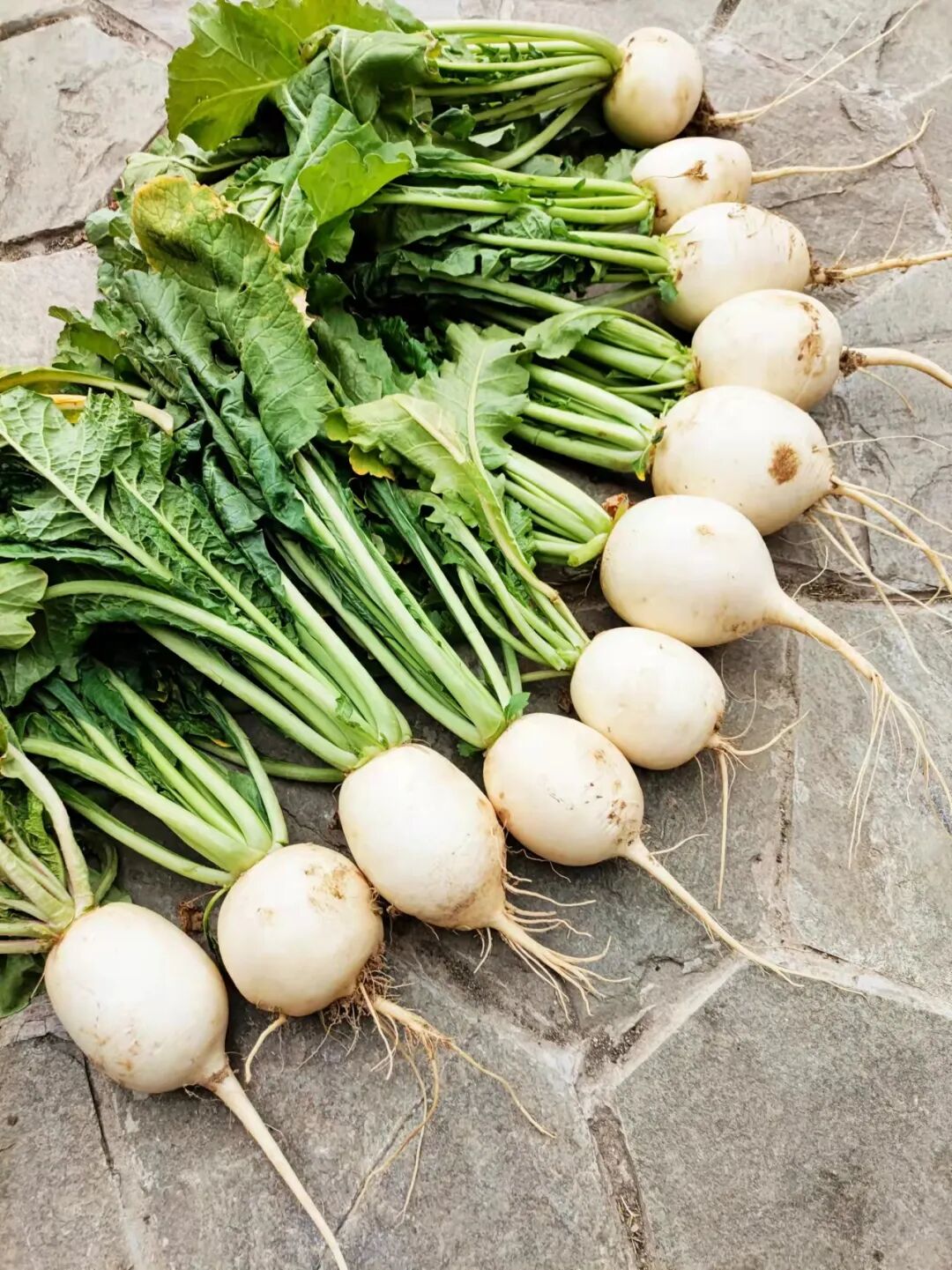 武汉优质农产品脉地湾萝卜冬季土人参营养又美味