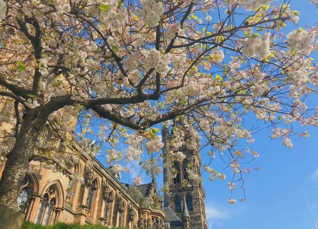 大学毕业后出国留学需要什么条件_出国留学几年毕业_留学毕业要求