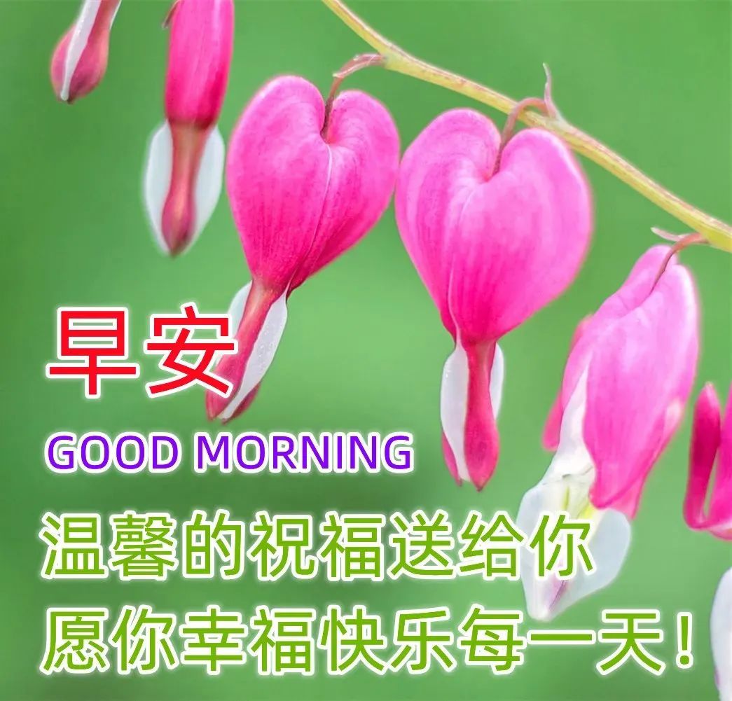 四月份非常漂亮的早上好动态图片带字,早安问候暖心说说句子_非主流