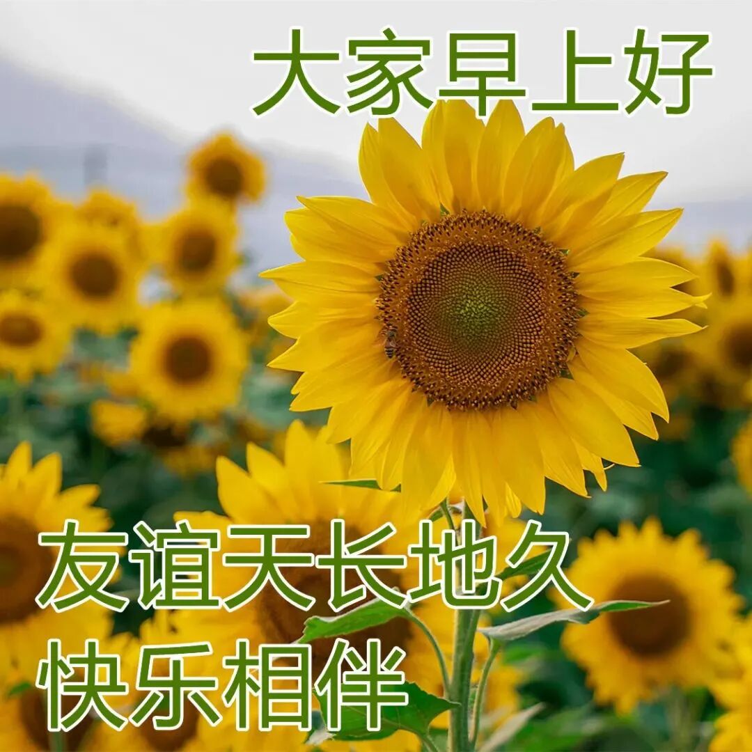 春季早上好祝福语录 微信群发早安祝福图片大全_非主流个性网
