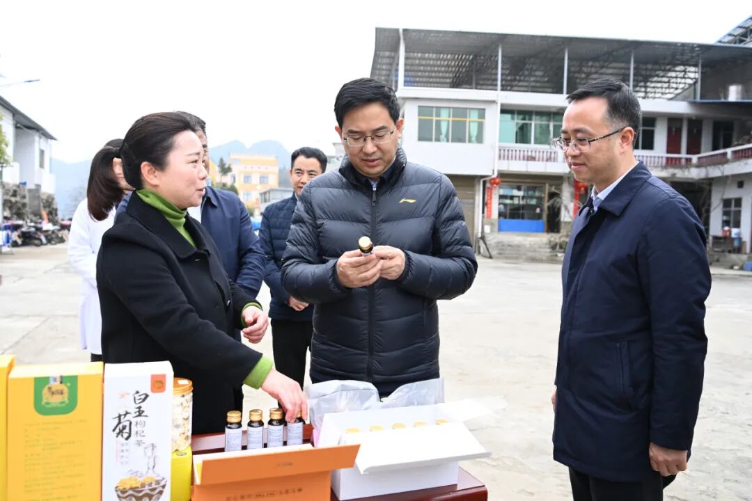 印江自治县板溪镇"稻耳轮作"示范基地调研产业发展是做强县域经济的