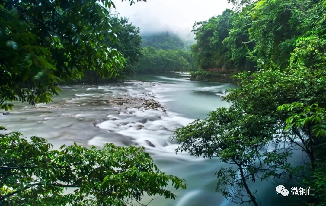 ��ϲ��ͭ������һ�š����Ҽ�����Ƭ