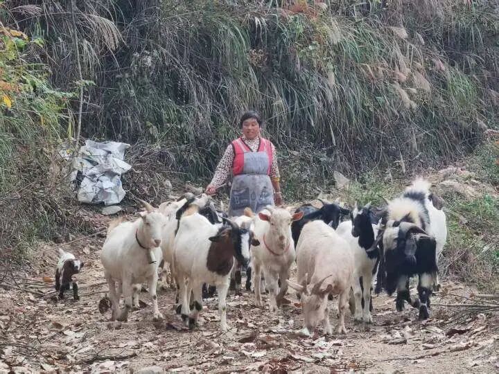 铜仁：以和美乡村建设绘织乡村振兴新图景