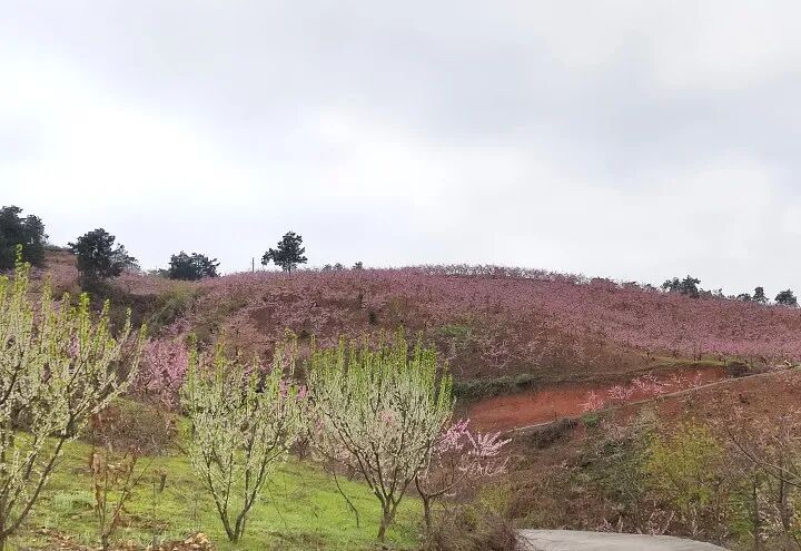 铜仁：以和美乡村建设绘织乡村振兴新图景