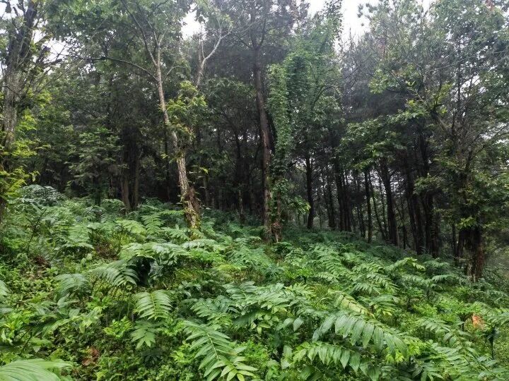 铜仁：以和美乡村建设绘织乡村振兴新图景