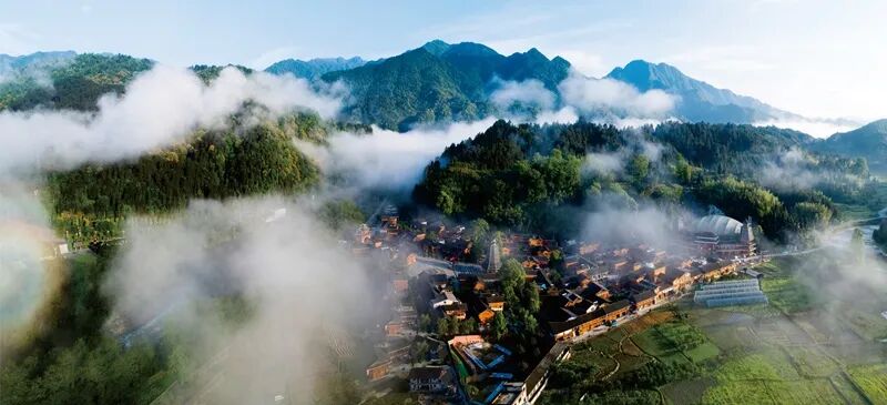 （乡风文明）云雾中的寨沙侗寨  王勇江 摄.jpg