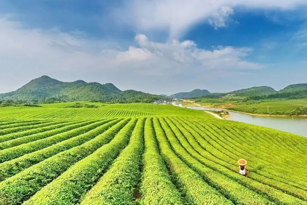 推动强县建设讲好铜仁小城故事