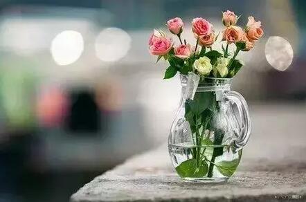 懂得“黑茶”，衰老的脚步就慢了......