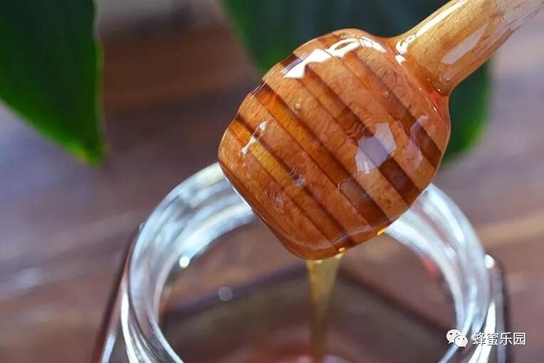 蜂蜜配四物，帮你“冲走”血栓！