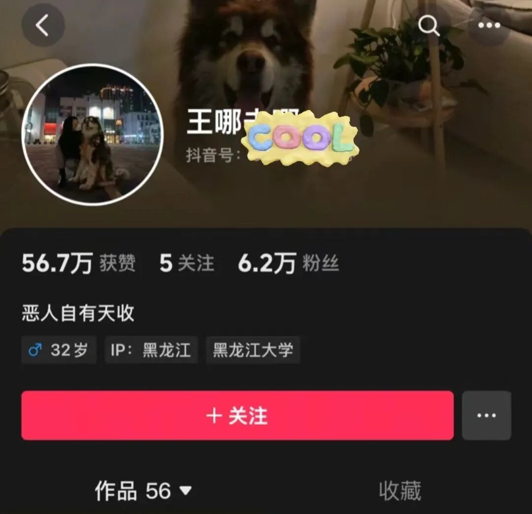“训狗”网红潘宏，一夜凉凉！