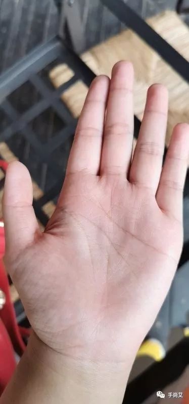 木型手掌的特点_木型手男人的命运_木型手