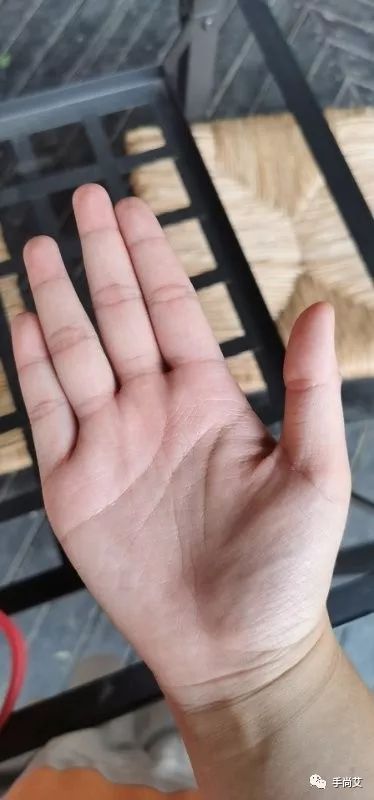 木型手掌的特点_木型手_木型手男人的命运