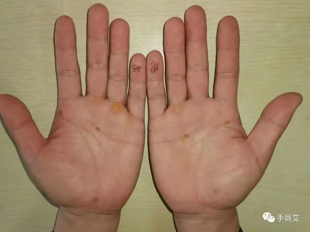 木型手相_木型手_木型手掌的特点