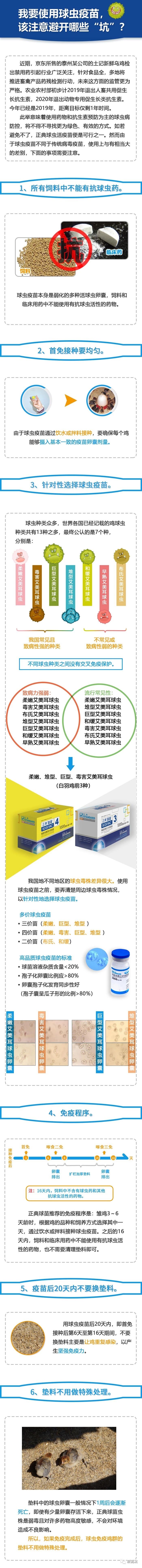 球虫疫苗使用，该注意避开哪些“坑”？