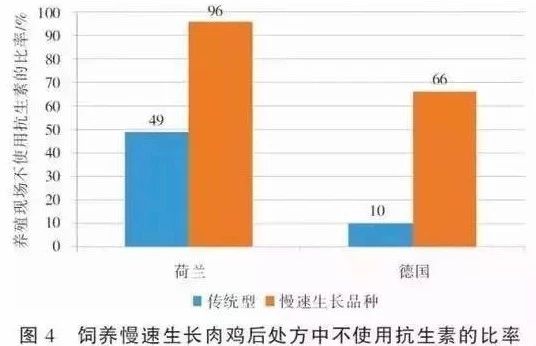 欧洲球虫防控经验值得借鉴?我国更先进! 欧洲球虫防控经验值得借鉴?我国更先进!