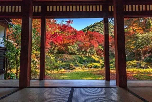 去九州過週末 乘著jr列車追上最後的紅葉狩 旅遊時報 微文庫