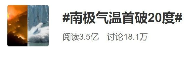 实习|痛心！企鹅数量暴降75%、海象自杀式跳崖、北极熊开始吃幼崽…这些照片让人背脊发凉