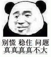 别慌稳住问题真真不大熊猫头表情包：别慌稳住，问题真的真的真的真的不大表情包图片gif动图-