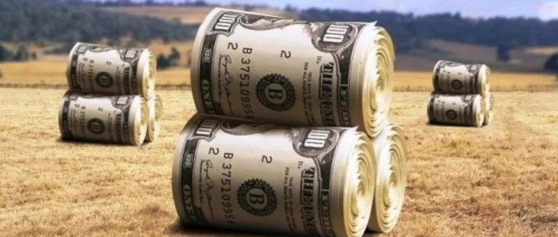 俄乌局势引发蝴蝶效应，油价升穿116美元，全球粮价触及十年高位