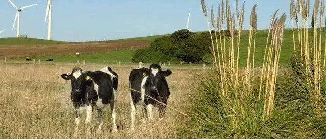 澳大利亚牛肉大麦葡萄酒订单被取消，澳农民损失惨重后，澳煤炭也被替代，加拿大人来抢生意，有进展