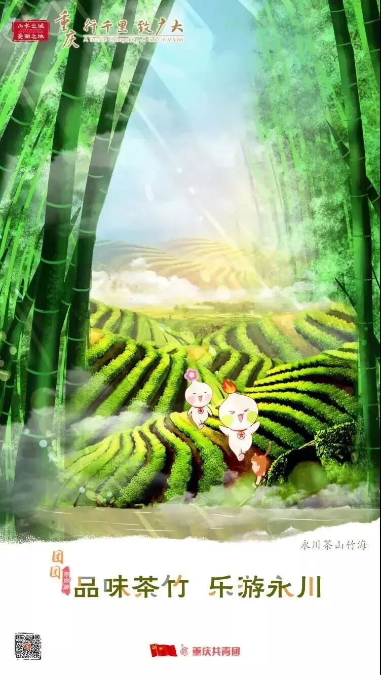 2024年重庆市大学生志愿服务西部计划招募