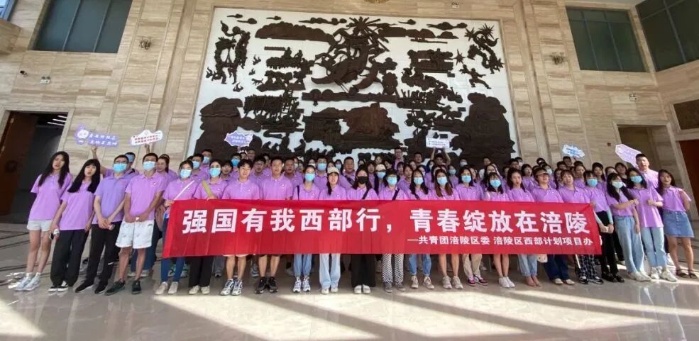 2024年重庆市大学生志愿服务西部计划招募