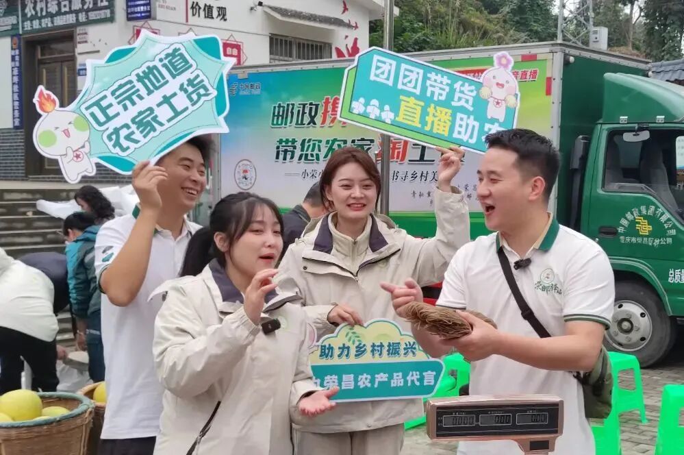 2024年重庆市大学生志愿服务西部计划招募