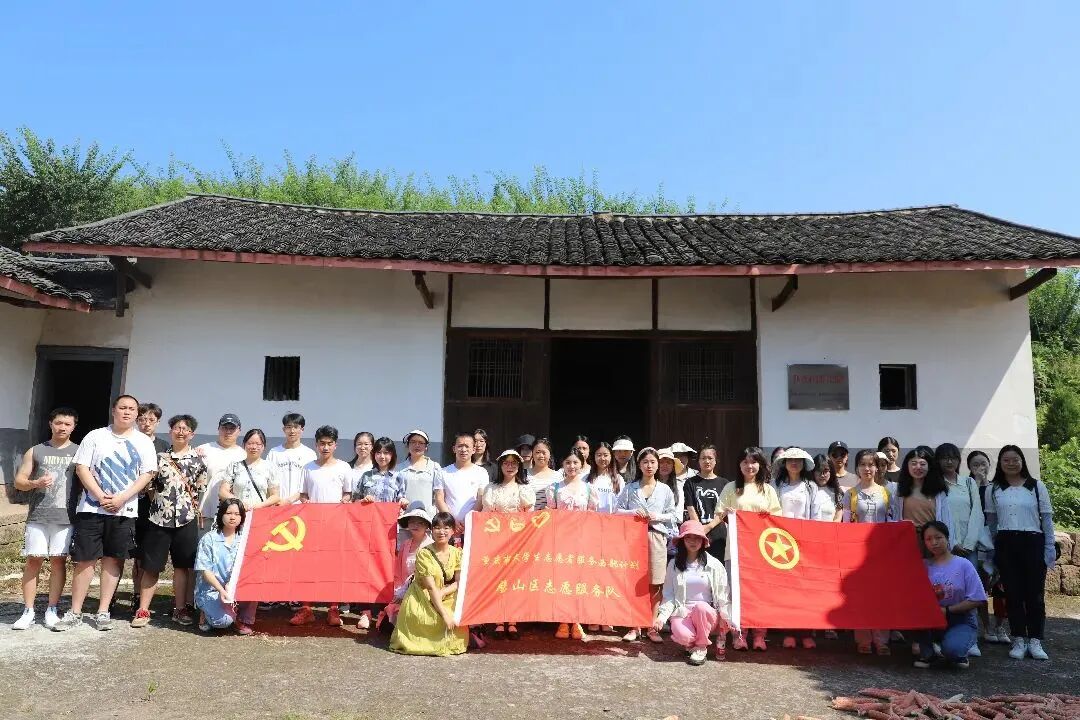 2024年重庆市大学生志愿服务西部计划招募