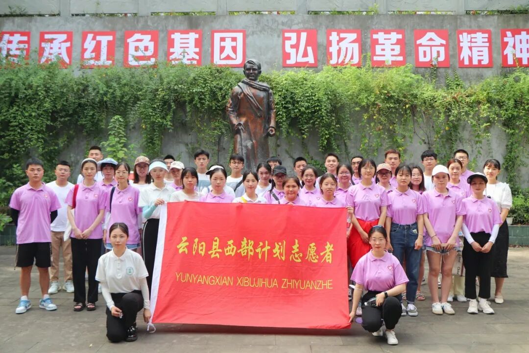 2024年重庆市大学生志愿服务西部计划招募