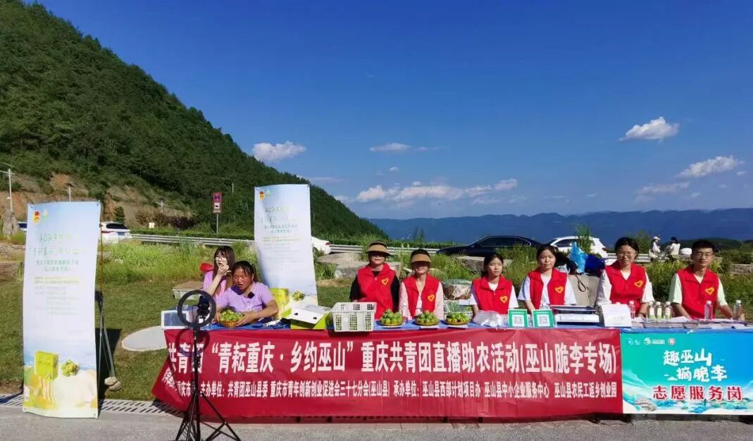 2024年重庆市大学生志愿服务西部计划招募