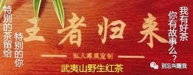 万物皆有灵!从吉林怀孕母羊向屠夫下跪到我的亲身经历
