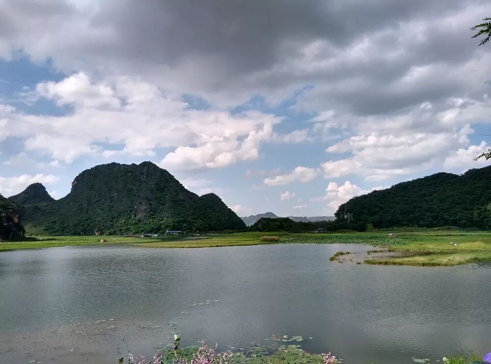 中国肺高血压诊断和治疗指南2018的精华内容