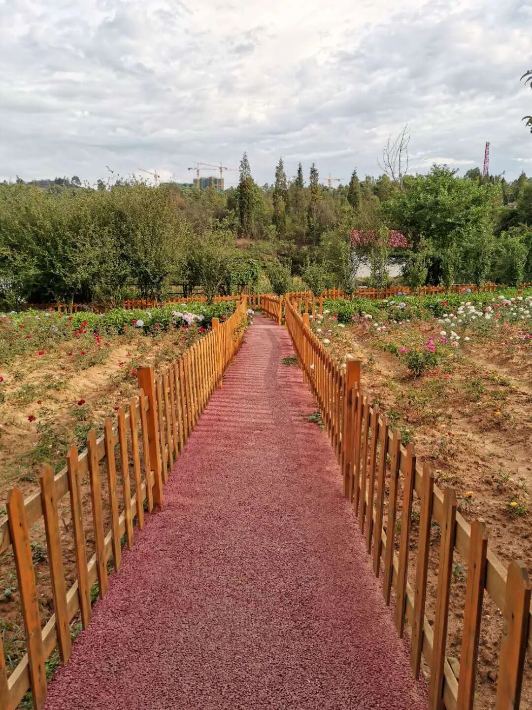 呼吸机怎么看呼吸重症：从呼吸机波形看自主呼吸_https://www.jmylbn.com_新闻资讯_第4张