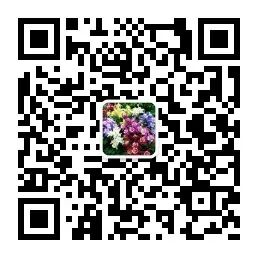 这10种漂亮的 耐寒花 天冷要不要 入室 你看看就知道了 全网搜