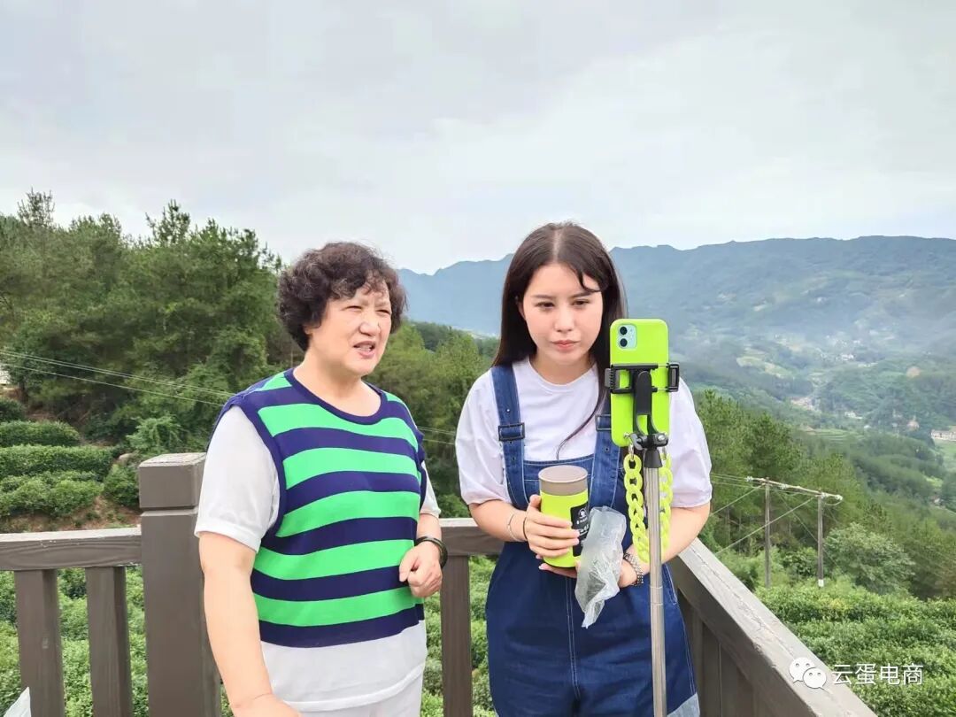 勉县农村电商服务平台