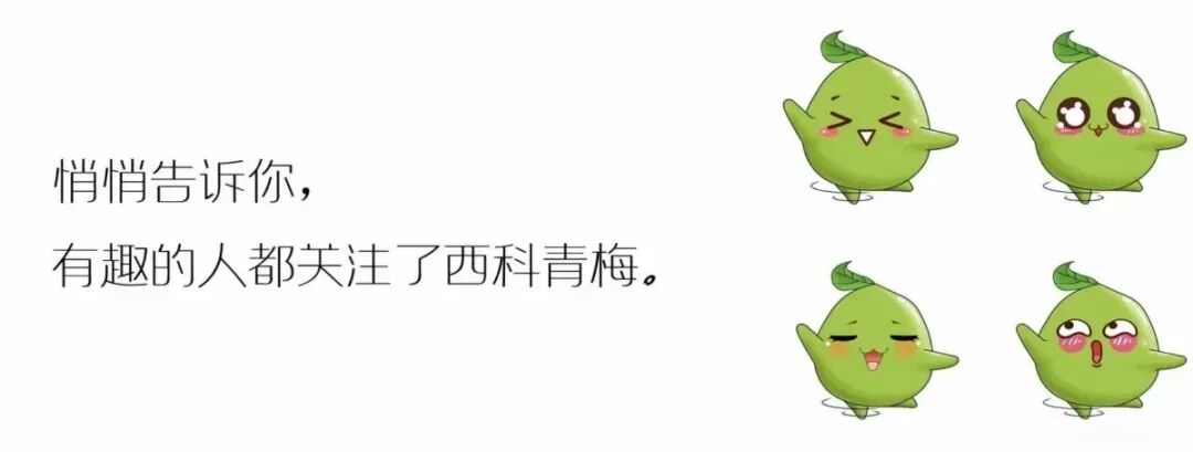 女主穿越哈尔的城堡_哈尔移动的城堡_哈尔的移动城堡解析