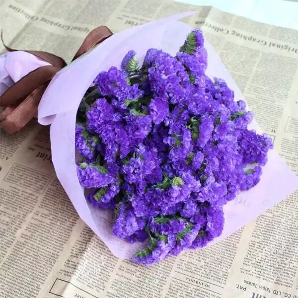 插花花材 干花 璞掬家居生活 微信公众号文章阅读 Wemp