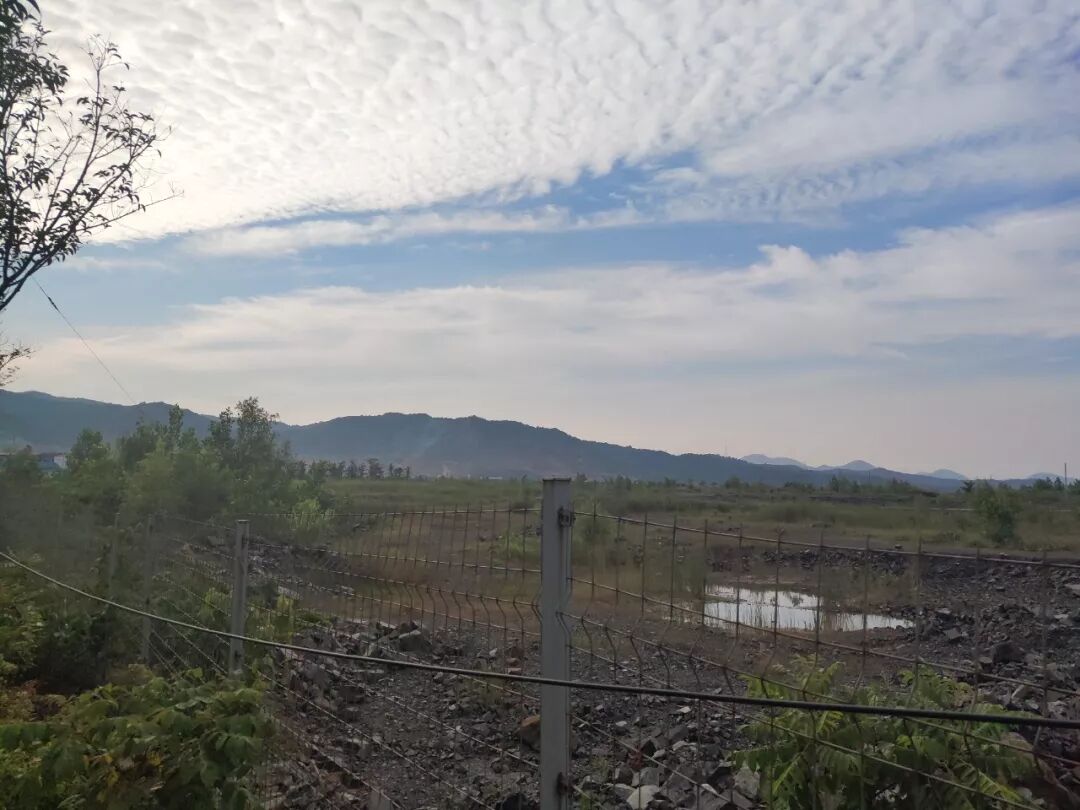 贾跃亭内蒙古造车真相：仅单方意向 莫干山土地空置3年恐被收回