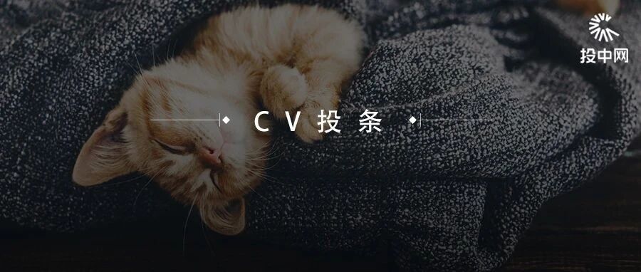 给小猫针灸、给小狗拔罐，我参与了一场2000多亿的大生意丨后窗